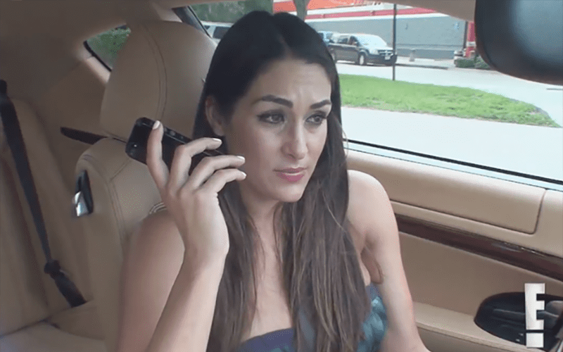 Nikki Bella Comments on Moving Forward