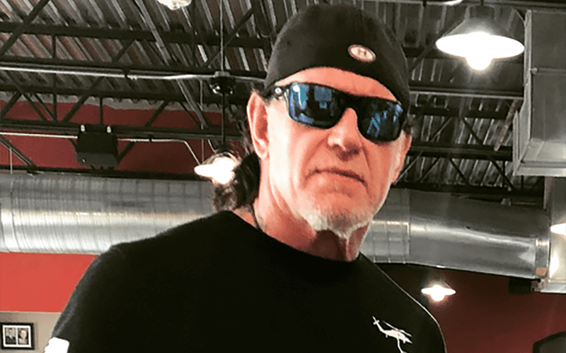 Michelle McCool Provides Update on The Undertaker’s Status