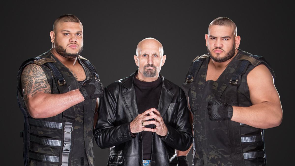 Paul Ellering Addresses Rumors After Split With Authors Of Pain