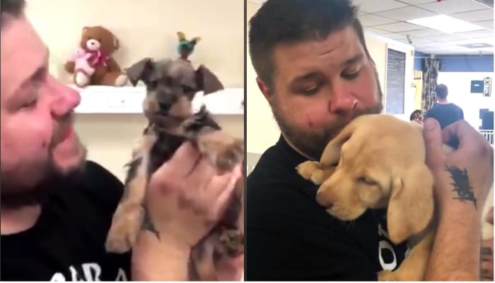 Watch Kevin Owens Enjoy His Unemployment By Visiting A Puppy Store