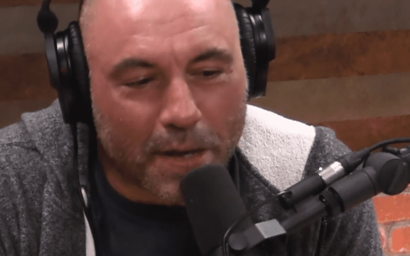 Joe Rogan Posts A Heartwarming Video Of A Child Being Adopted By A Couple