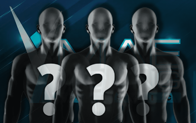 Possible Names for the Next Mae Young Classic