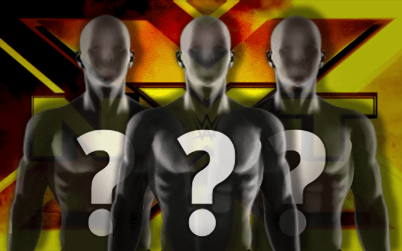 Possible Contenders for North American Title & NXT Women’s Title