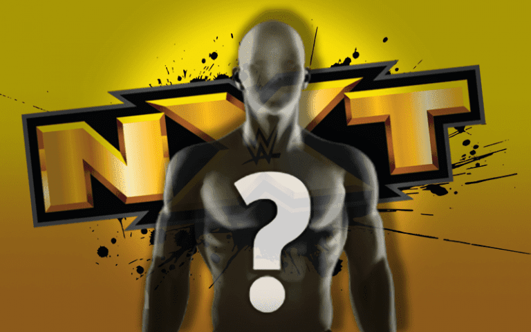 Speculation on TV Return for NXT Superstar