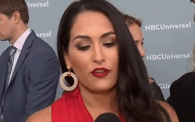 Nikki Bella Says She and John Cena Are Only Friends