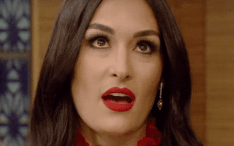 Nikki Bella Responds to Accusations She Broke Up with John Cena for Ratings