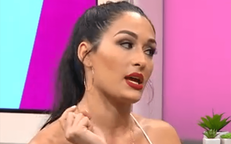 Nikki Bella Says Wedding with John Cena Will NEVER Be Filmed!