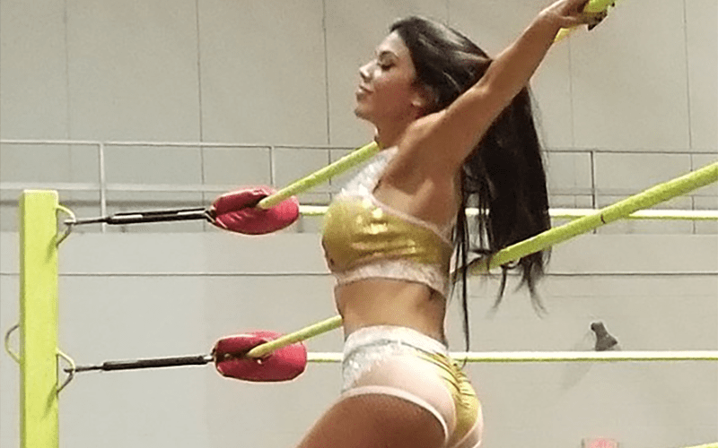 Former WWE Superstar Rosa Mendes Returns to the Ring (Photos)