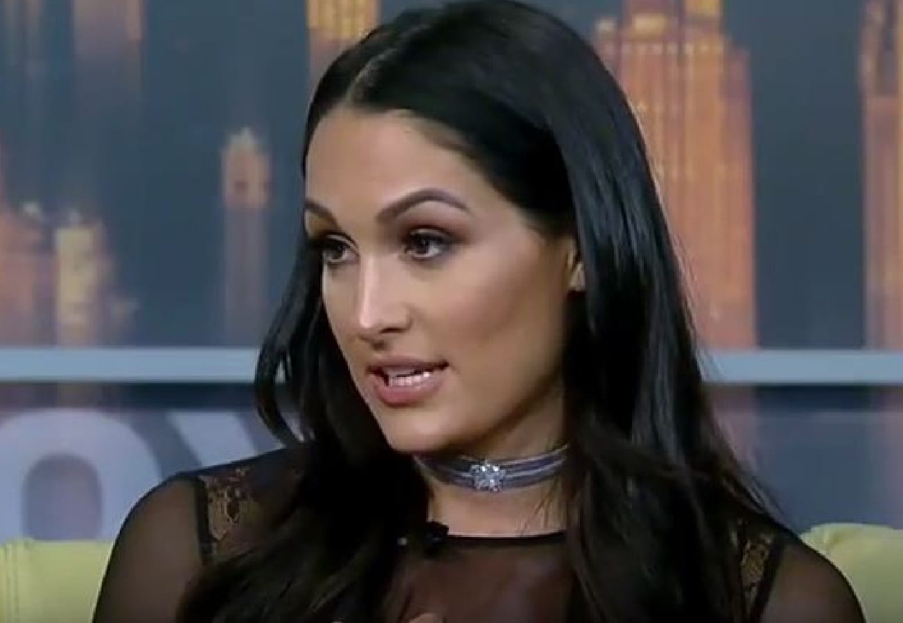 Nikki Bella Calls Out Sources Commenting On Her Relationship With John Cena