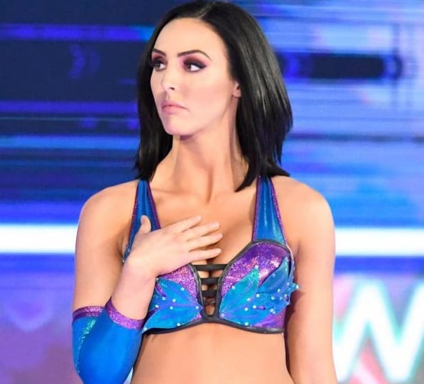 Several WWE Superstars React to Dave Meltzer’s Remarks About Peyton Royce’s Appearance