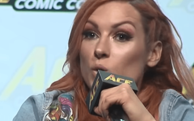 Becky Lynch Says She’s Pitched the Idea for Women’s Tag Titles to WWE