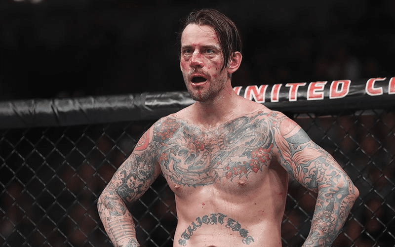 Bellator Fighter Challenges CM Punk to a Fight