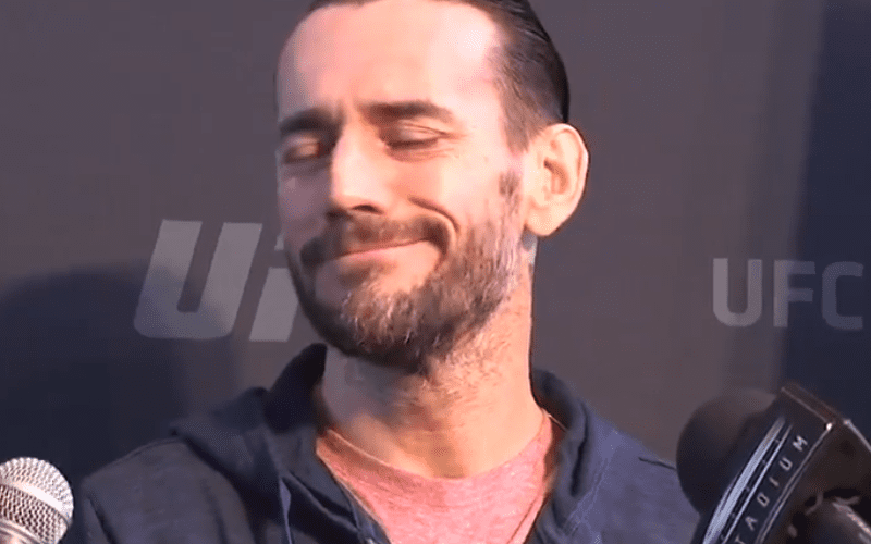 CM Punk to Star in Another Movie