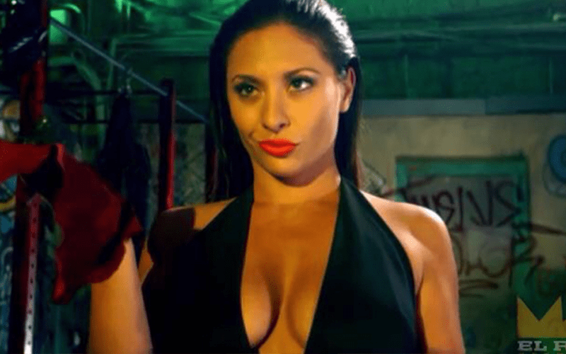 Ex-Diva Points Out WWE Production Flaws While Comparing to Lucha Underground