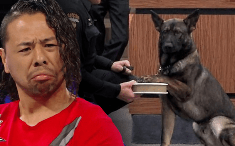 Could WWE Sue Over Shinsuke Nakamura’s Police Dog Bite?