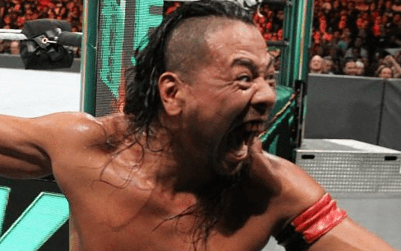 Shinsuke Nakamura Will Possibly Miss Japan Tour Due To Police Dog Bite