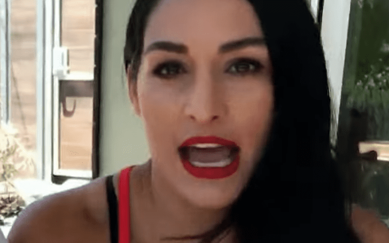 Nikki Bella on Fans Referring to Her as the “Fat Twin”