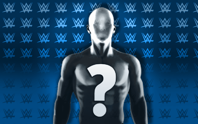 WWE Superstar Might Miss Live Show Due To Travel Nightmare
