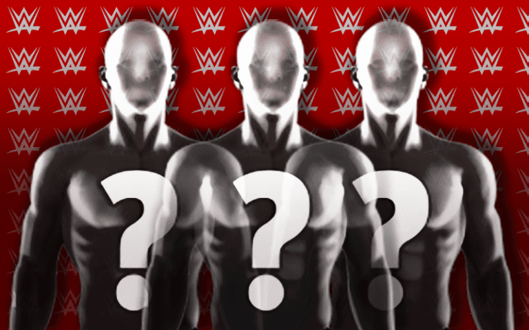 WWE Planning WWE Network Show Starring Superstar Wives