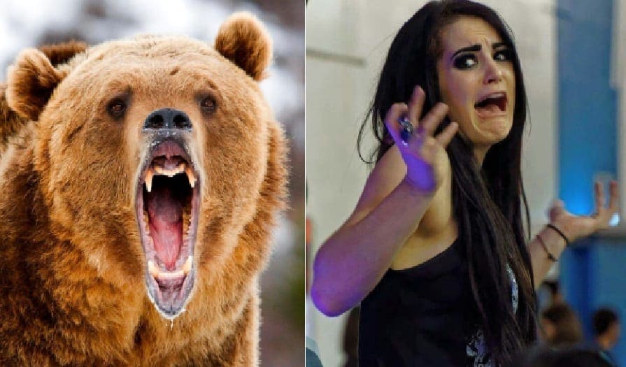 A Bear Visited Total Divas Set While Filming