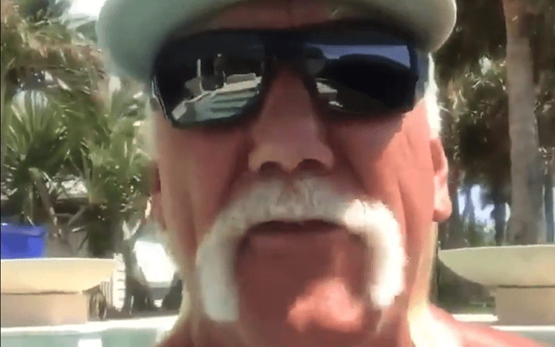 Hulk Hogan Sends 4th of July Message to His ‘Real Americans’