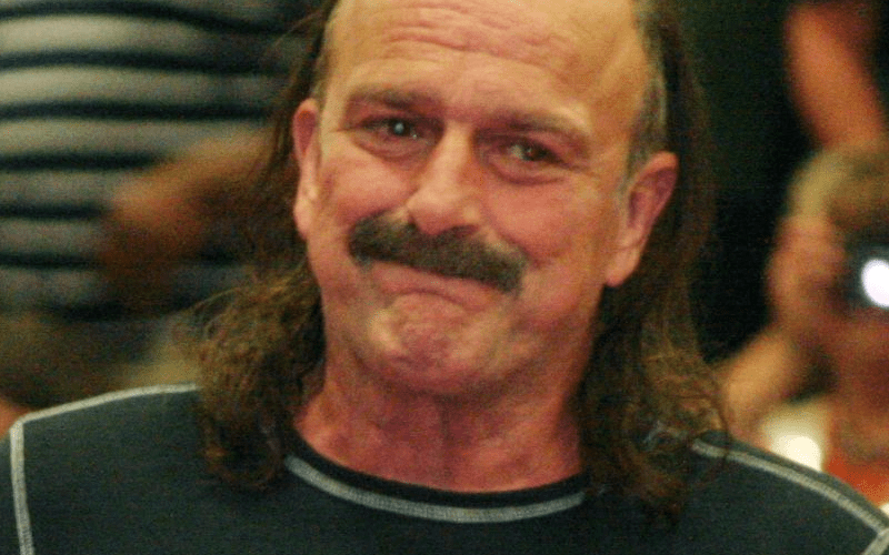 Jake ‘The Snake’ Roberts Has a Problem With Modern Professional Wrestling