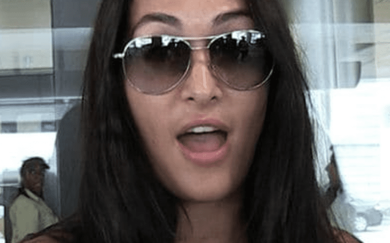 Nikki Bella Reveals If She’s Interested In Dating Other Wrestlers