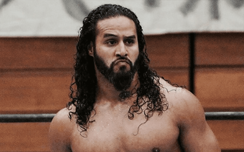 Tama Tonga Takes Shot at Wrestling Journalist & Stephen Amell