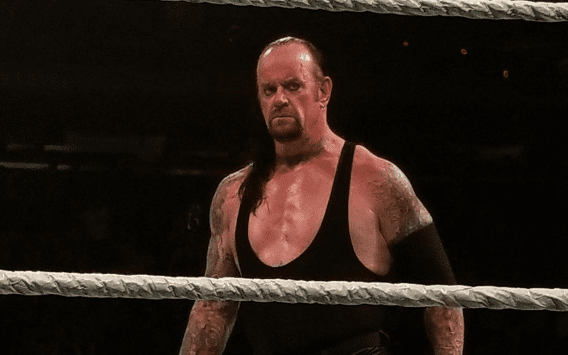The Undertaker Dealing With Chronic Knee Pain