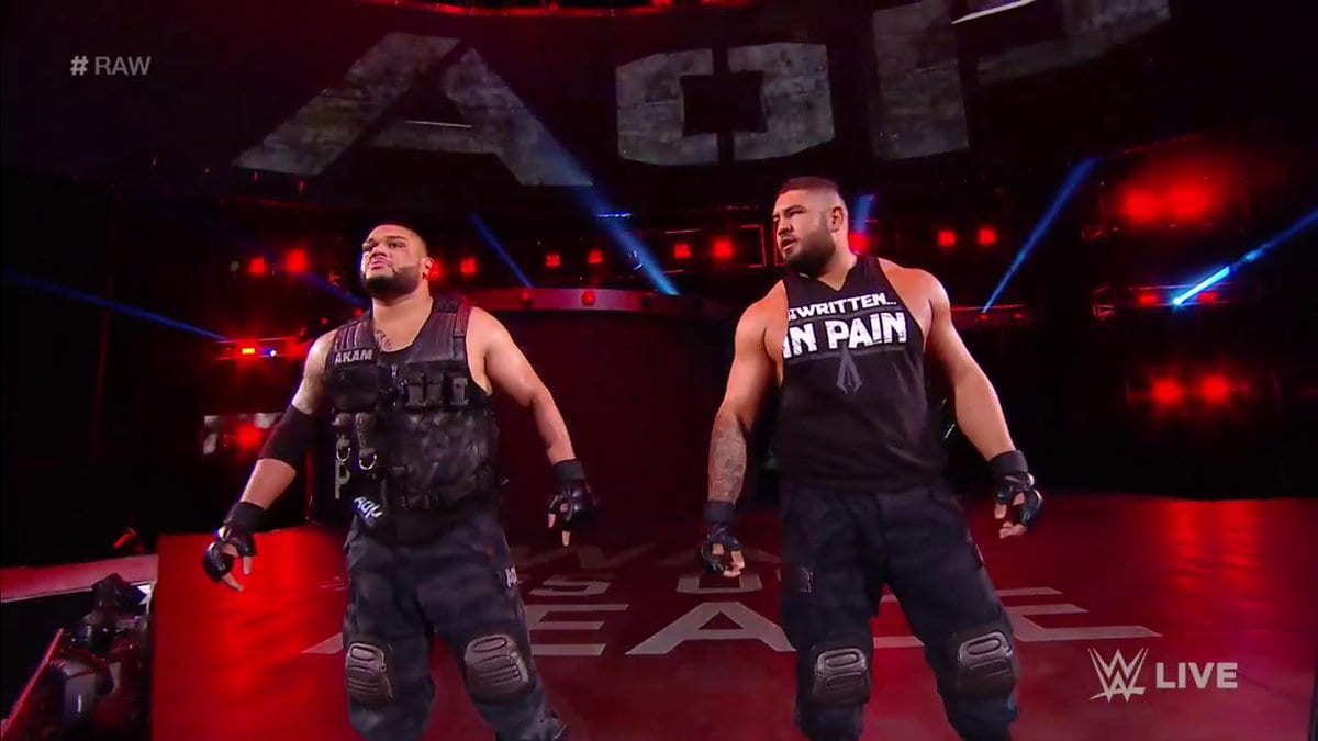 Authors Of Pain Experience Their Fist Loss On Raw