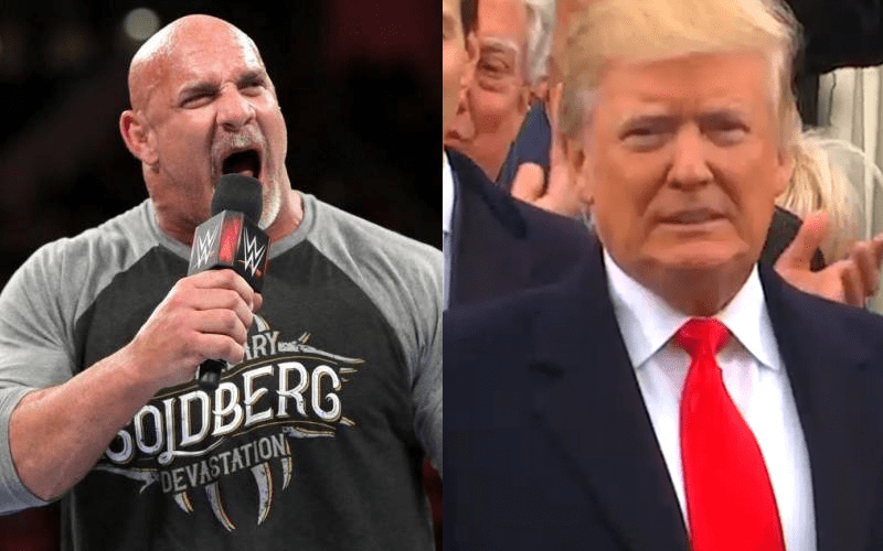 Goldberg Wants To Fight Donald Trump For Threatening Him & His Wife