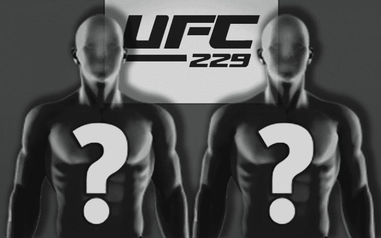 Possible Fight for UFC 229