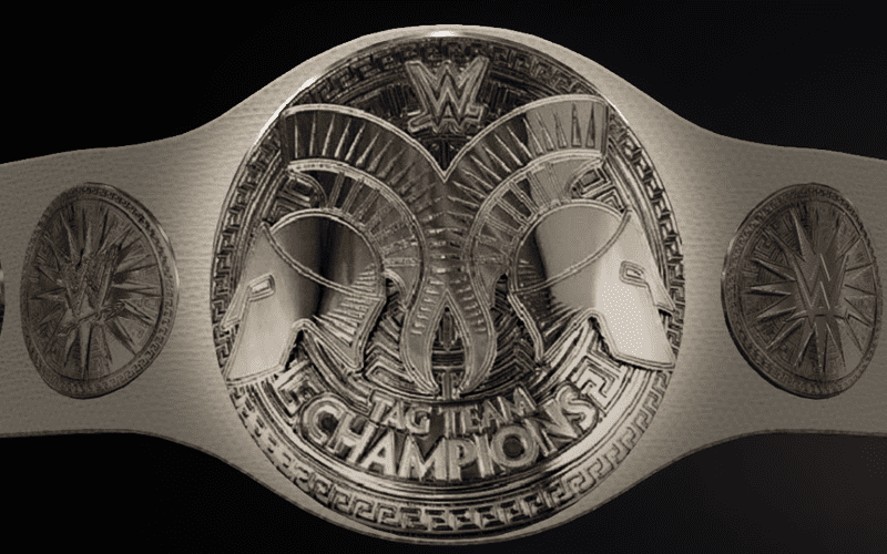 WWE Likely To Introduce Women’s Tag Team Titles Very Soon