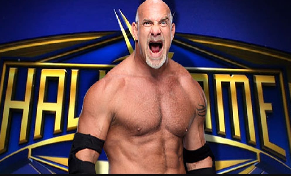 Goldberg Says The WWE Hall Of Fame Is Stupid