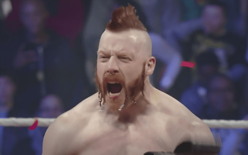 Sheamus Has Changed His Mind About Total Divas