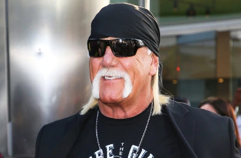Hulk Hogan Reportedly Getting Heat From WWE Over nWo Return