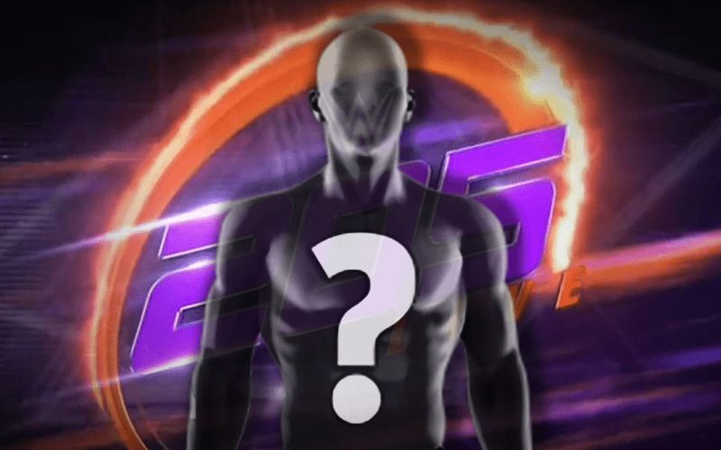 WWE Superstar Moves Over To 205 Live