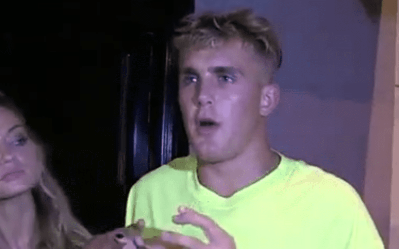 Jake Paul Says His Brother Would WRECK CM Punk