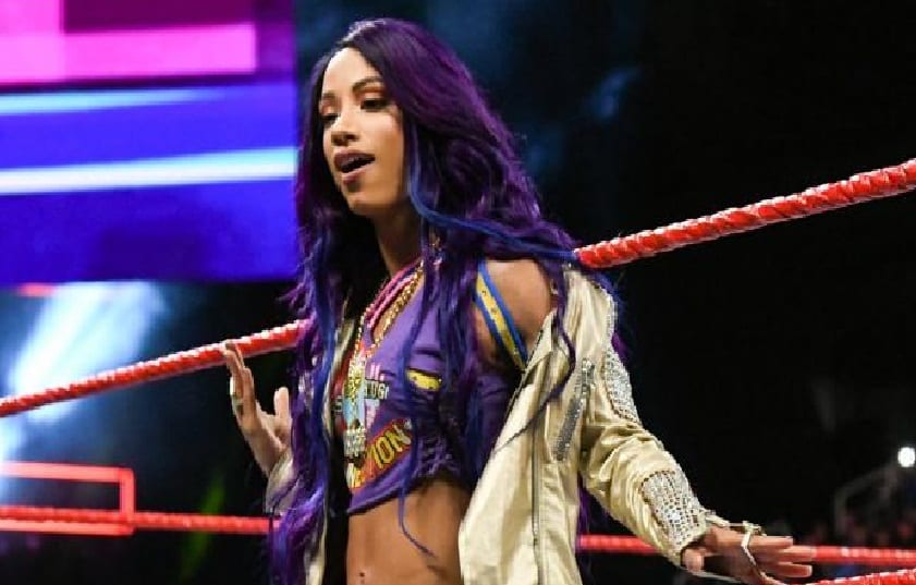 Sasha Banks Considers Herself Better Then Half the Roster in WWE