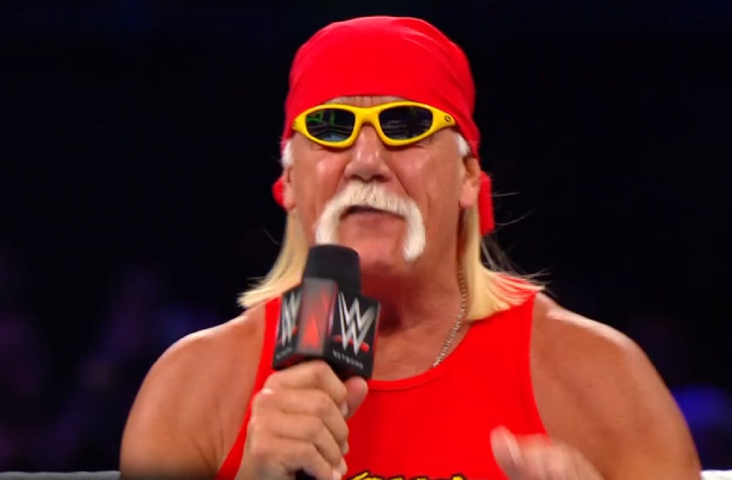Could Hulk Hogan Make A WWE Return For One More Match?
