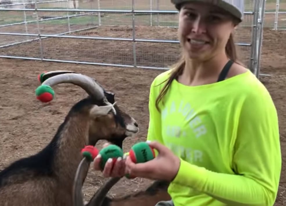 Ronda Rousey Dresses Up Her Goats For Christmas