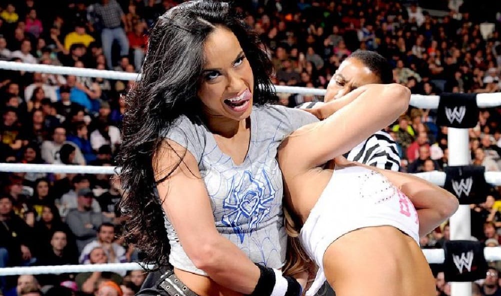 Former WWE Diva Cameron On AJ Lee Being Hard To Work With