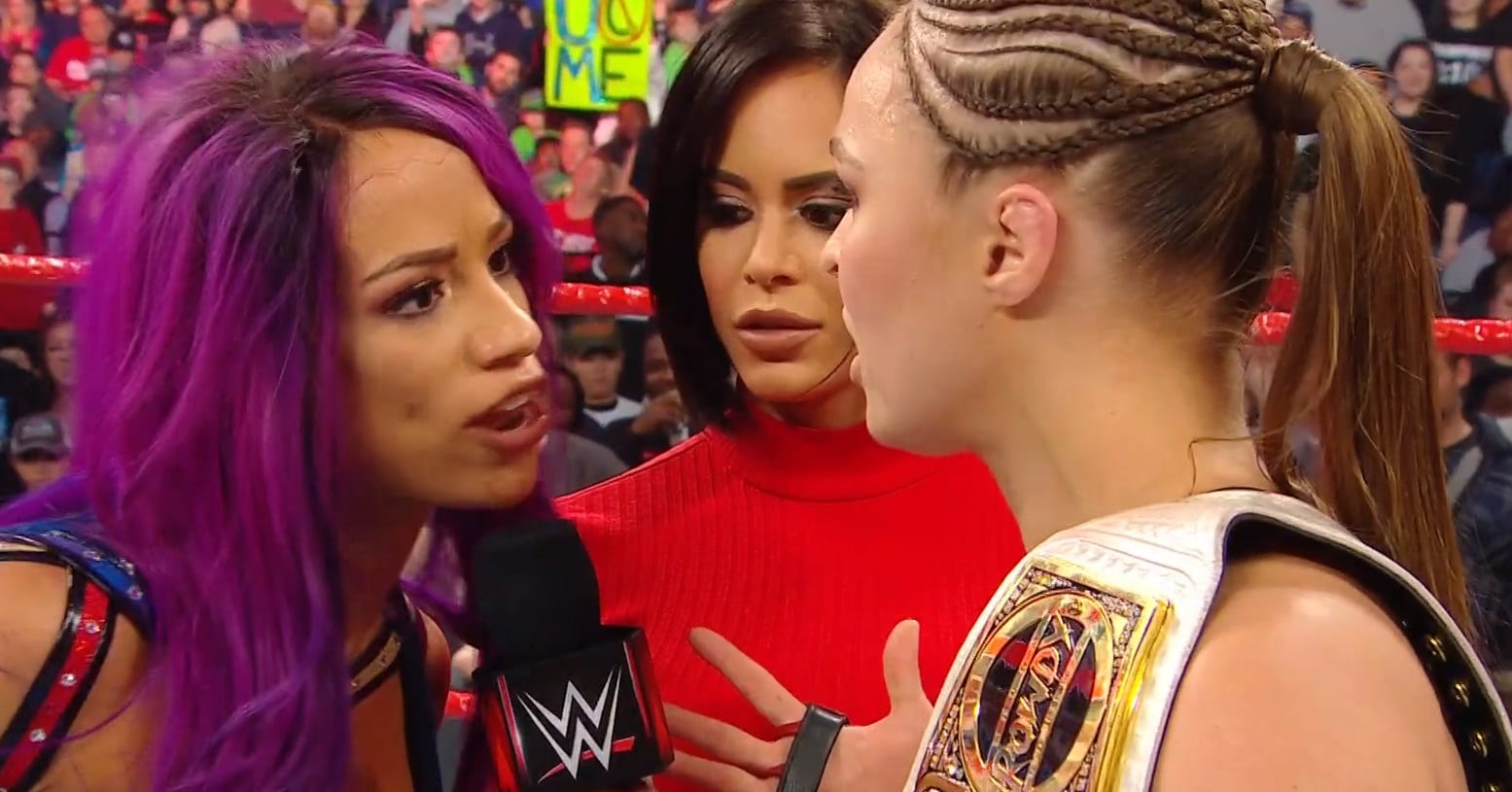 Ronda Rousey & Sasha Banks Trade Insults Over What The 4 Horsewomen Mean