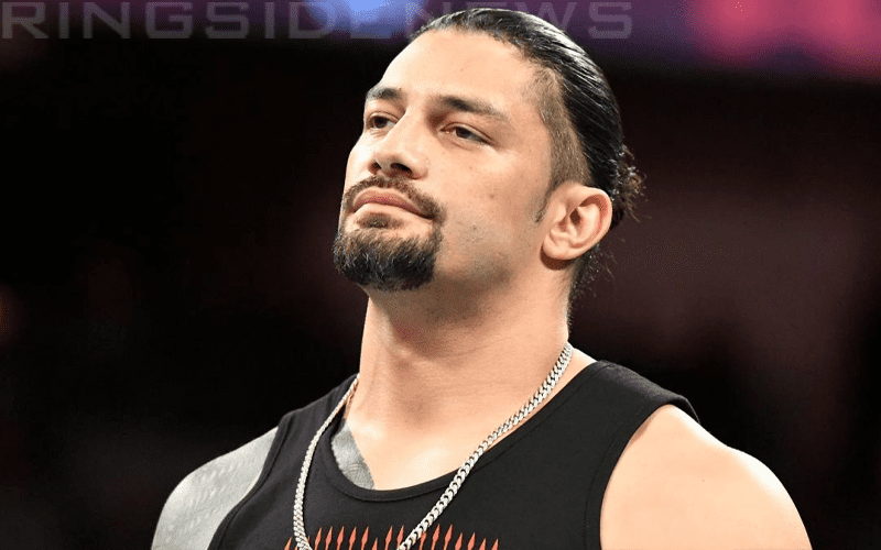 Roman Reigns Totally Supports Having An Off-Season In WWE
