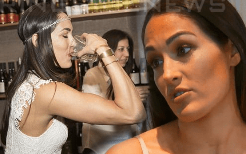 Nikki Bella ‘Had To Become A Mother At A Very Young Age’ Due To Brie Bella’s Drinking