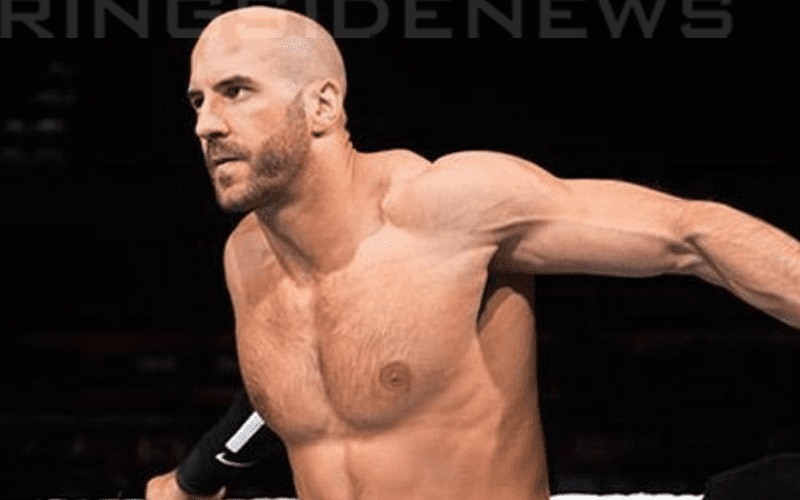 Cesaro On When His Road To WrestleMania Begins In WWE