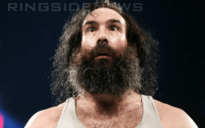 Luke Harper Requests Release From WWE