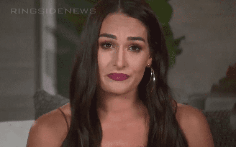 Nikki Bella Feels Like A ‘Proud Mom’ Watching WWE’s Women’s Division
