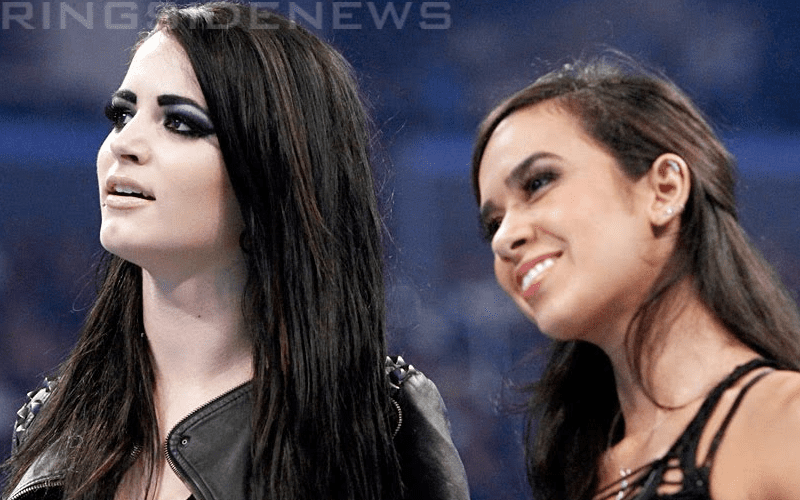 Paige Fires Back At Fan Saying She & AJ Lee Were Fired From WWE
