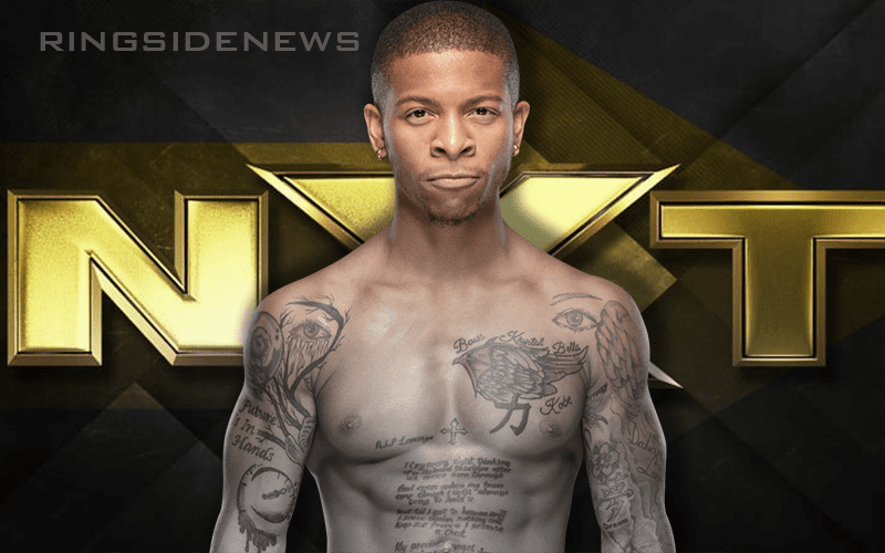 lio rush tenille dashwood lio rush tenille dashwood